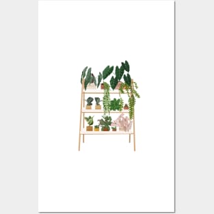 House plants illustration 36, Plant shelf art Posters and Art